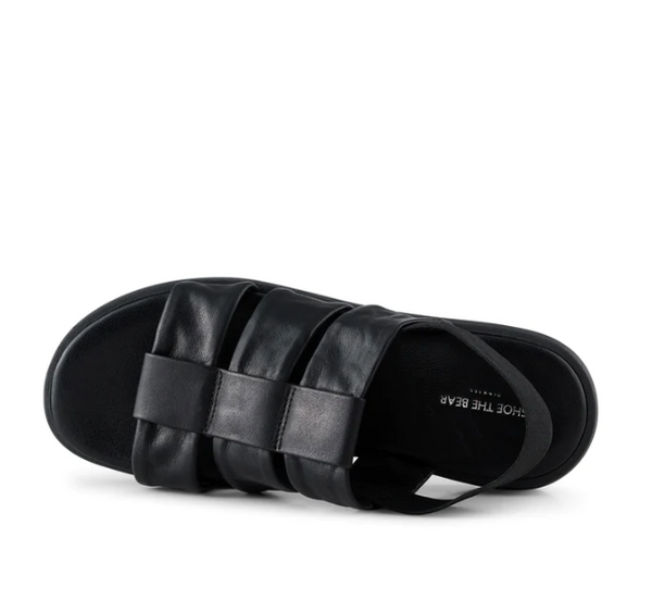 Shoe the shop bear sandal